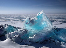 乐鱼app：让生活更有趣的选择