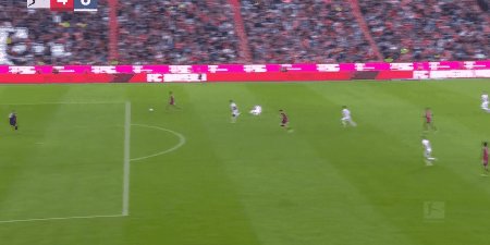 bay hof 9.gif